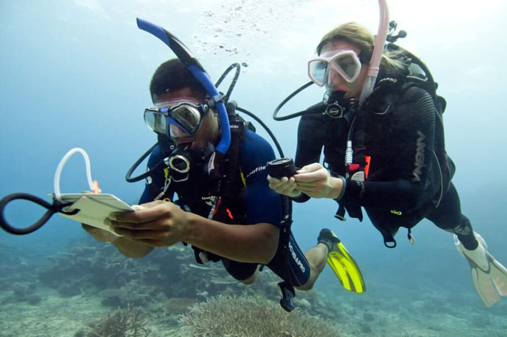 Woman and man diving using compass