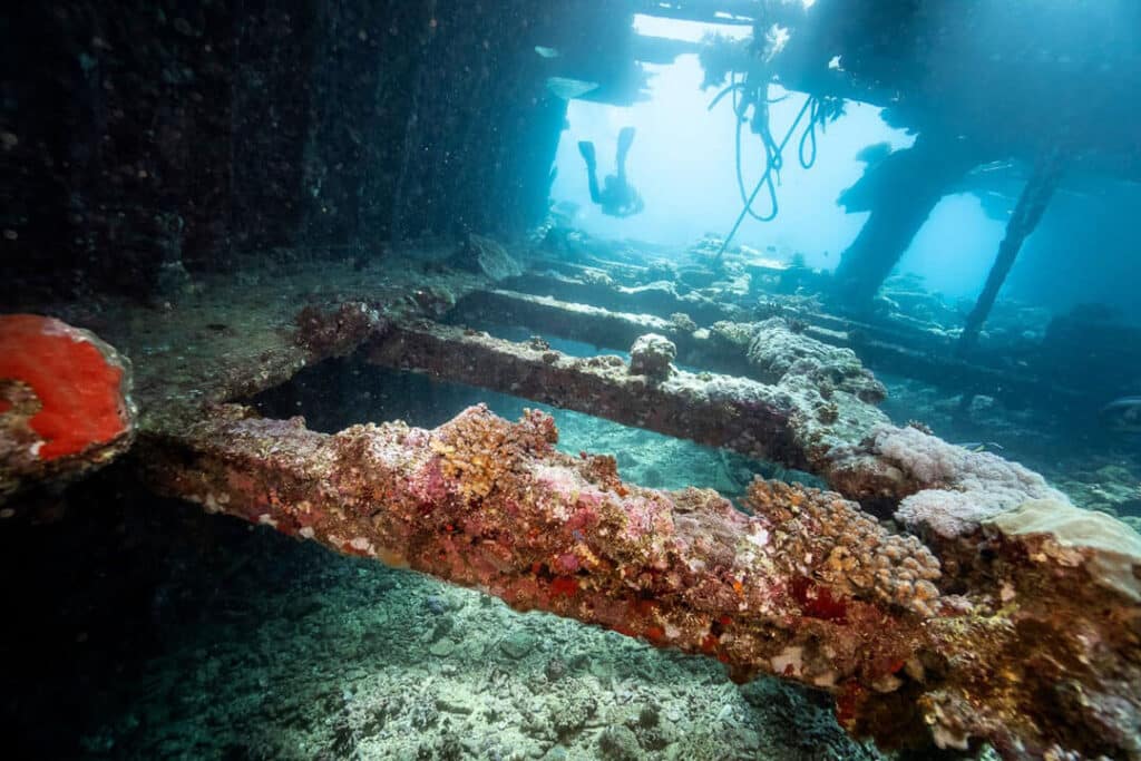 A diver explores the underwater wreck of a ship, surrounded by marine life and the remnants of the vessel.