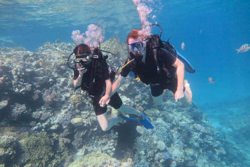 Two scuba divers in clear water, observing stunning coral reefs and the diverse sea life around them.