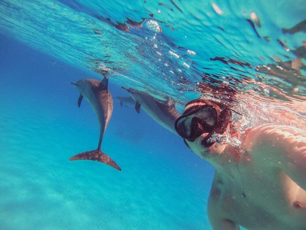 man taking a picture with a dolphin