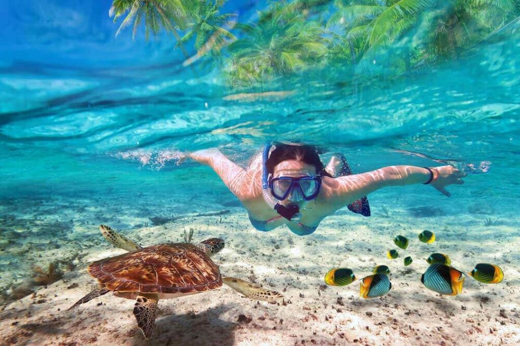 A girl swimming in the water and snorkeling, and in front of her is a turtle and watching marine life